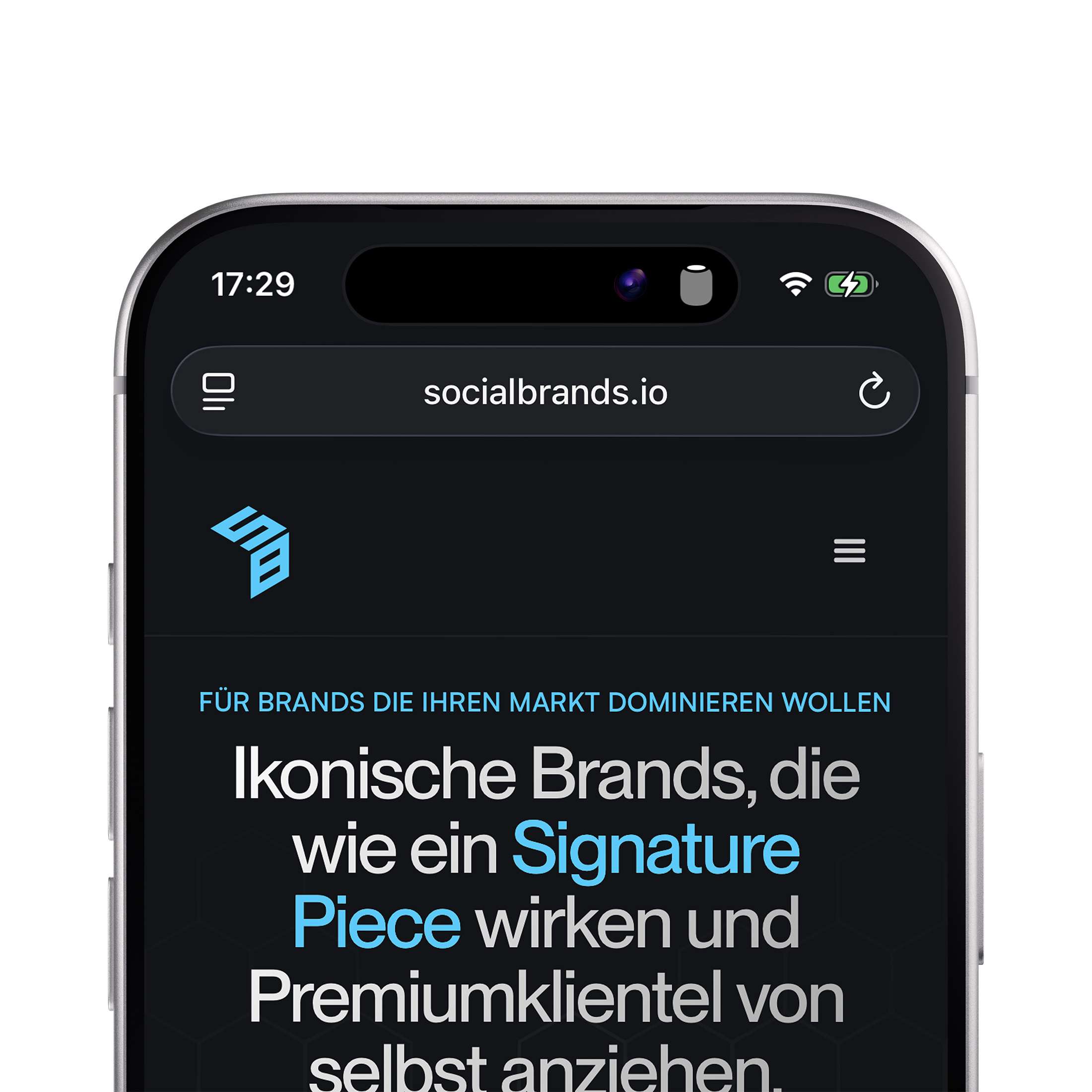 Socialbrands | Webdesign